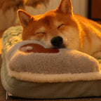 Perro apoyando la cabeza sobre el borde afelpado de la cama.