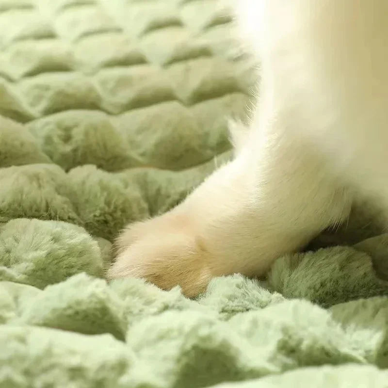 Detalle de la textura acolchada verde de la cama para mascotas.