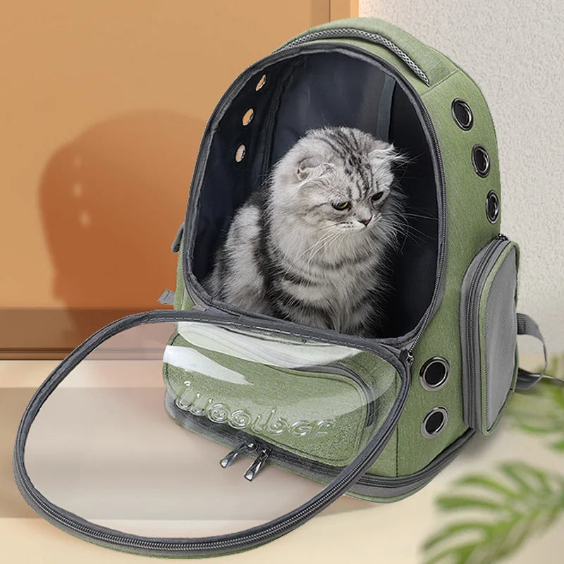 Mochila verde con abertura frontal desplegada y un gato dentro.