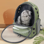 Mochila verde con abertura frontal desplegada y un gato dentro.