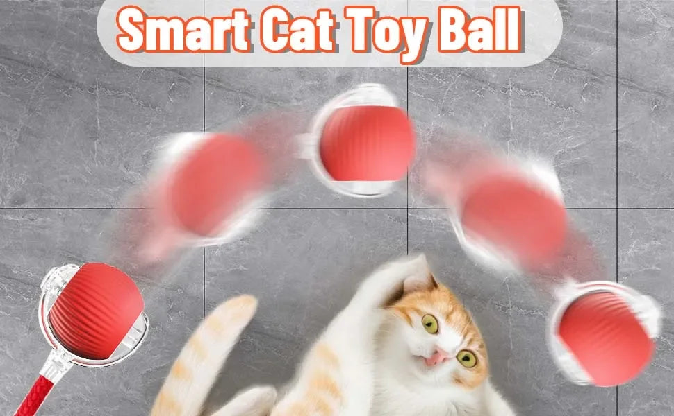 Juguete interactivo para gato | Elige modelo y color