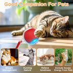 Juguete interactivo para gato | Elige modelo y color