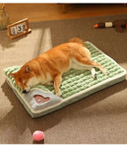 Perro recostado sobre una cama verde acolchada.
