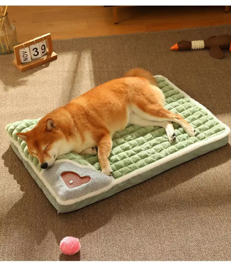 Perro recostado sobre una cama verde acolchada.