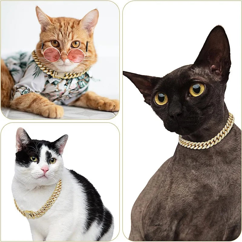 Ejemplos de collares dorados usados por gatos.
