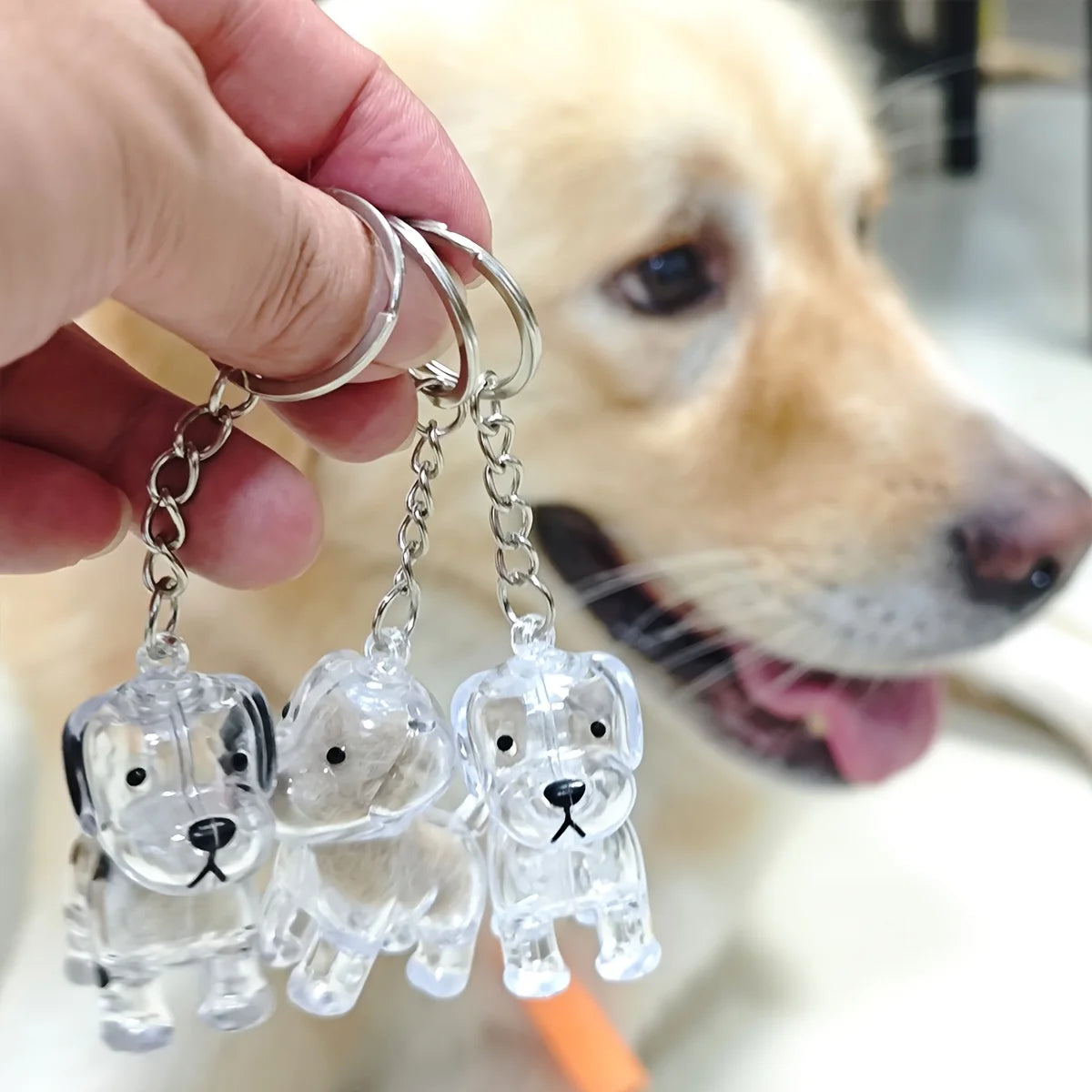 Tres llaveros transparentes con forma de perro y cadenas plateadas.