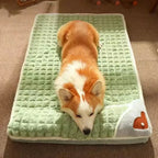 Vista frontal de una cama verde con un perro descansando.