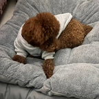 Perro pequeño durmiendo sobre una cama gris afelpada.