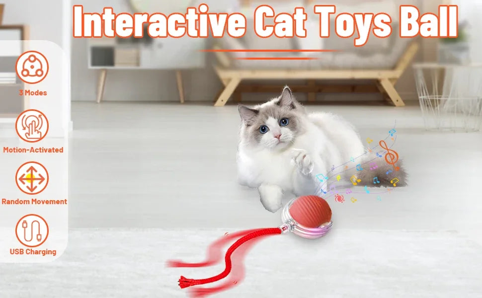 Juguete interactivo para gato | Elige modelo y color