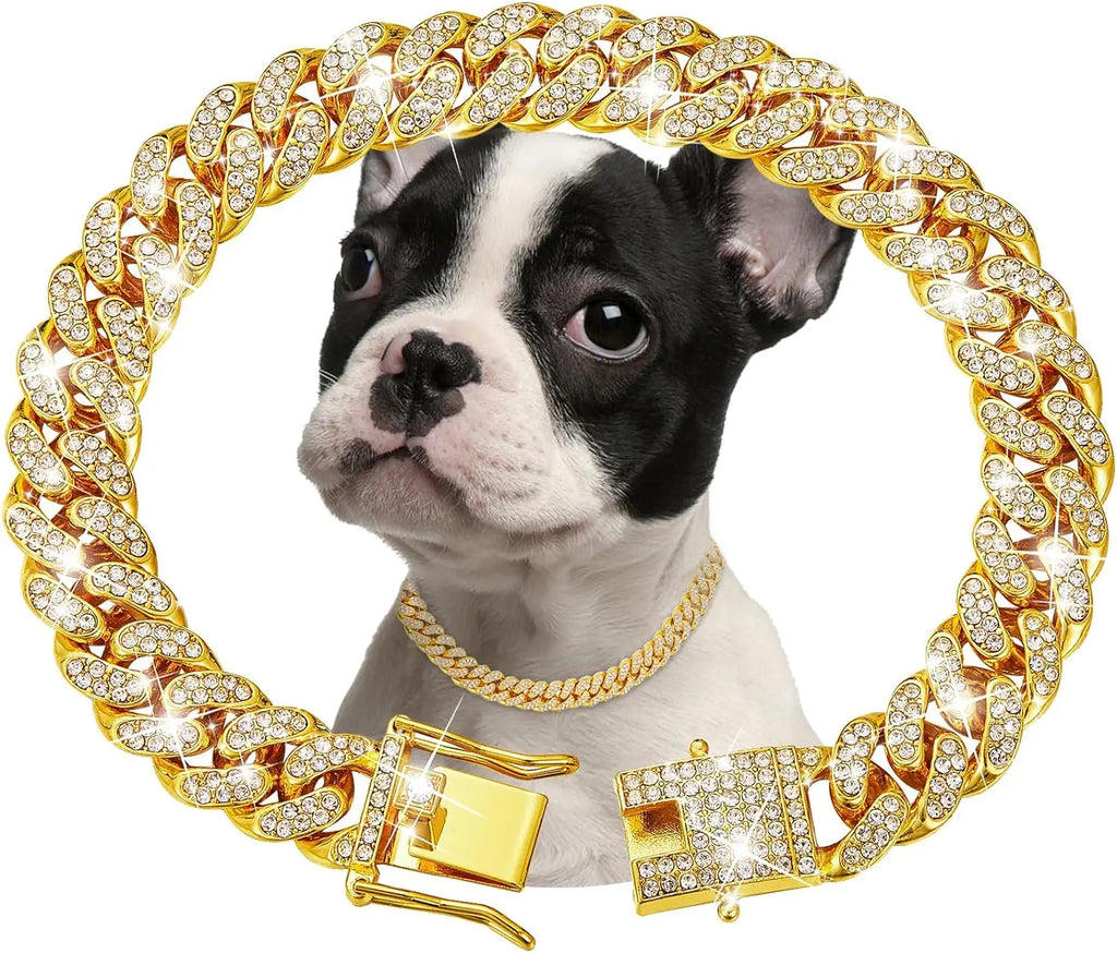 Collar dorado de eslabones con piedras transparentes, detalle del cierre y ejemplo en un perro.