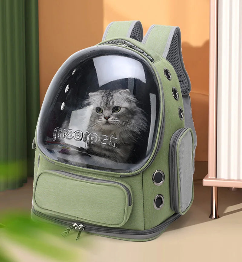 Mochila transportadora verde con un gato visible a través de la ventana.