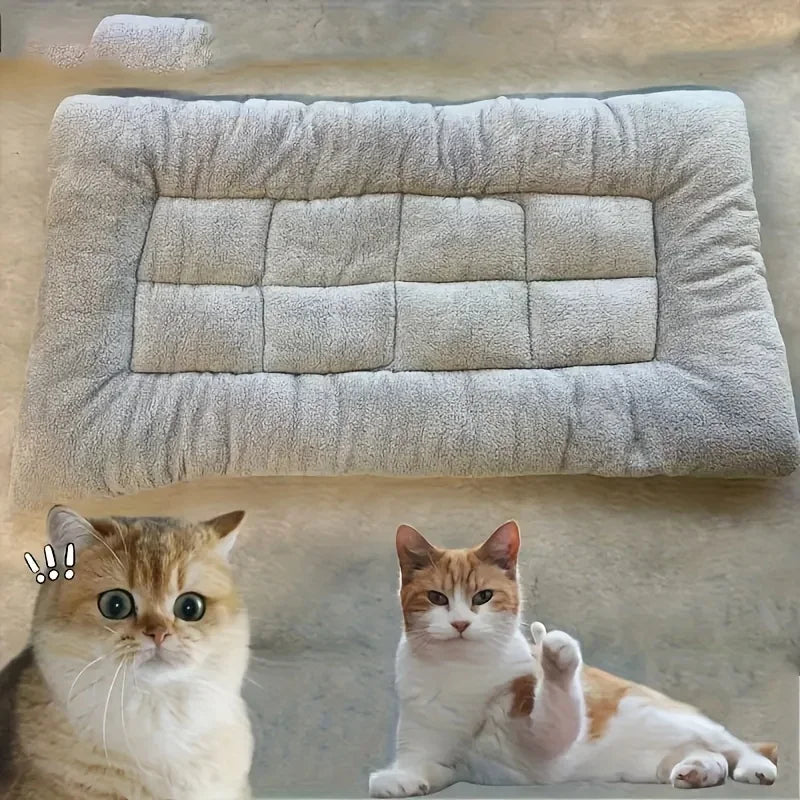 Cama gris acolchada y dos gatos junto a ella.