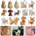 Surtido de diseños de dijes transparentes con formas de mascotas.