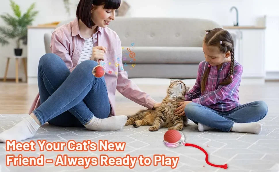 Juguete interactivo para gato | Elige modelo y color