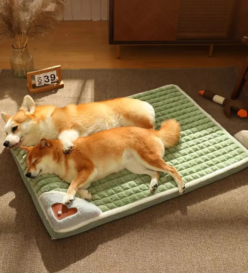Dos perros descansando sobre una cama verde en una habitación.