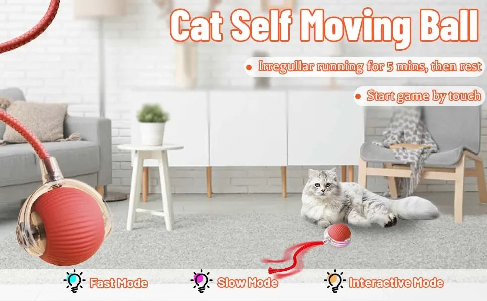 Juguete interactivo para gato | Elige modelo y color