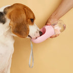 Perro bebiendo de una botella portátil con recipiente rosa.