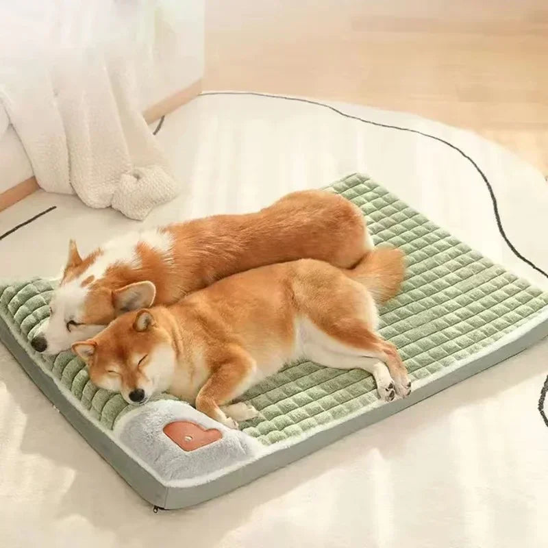 Dos perros descansando sobre una cama verde con superficie acolchada y apoyo lateral.