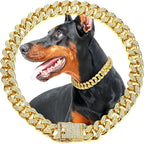 Collar dorado de eslabones con piedras transparentes y ejemplo de uso en un perro.