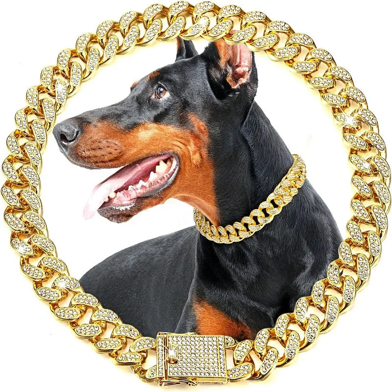 Collar dorado de eslabones con piedras transparentes y ejemplo de uso en un perro.