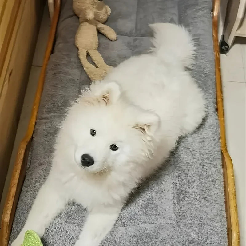 Perro blanco acostado sobre una cama gris rectangular.