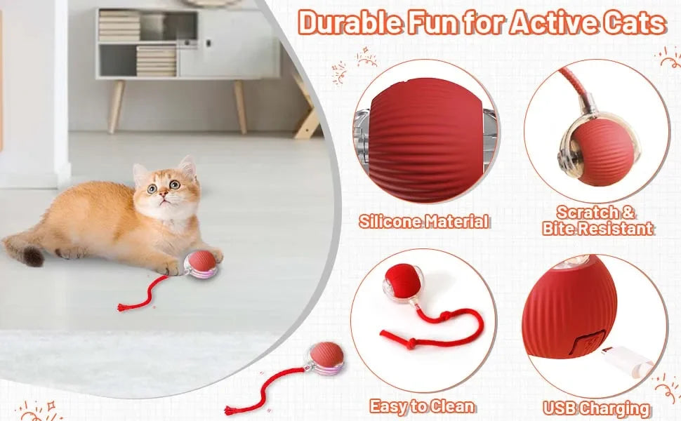 Juguete interactivo para gato | Elige modelo y color